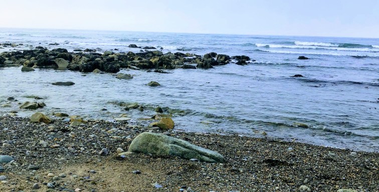 The Beach at Marshfield